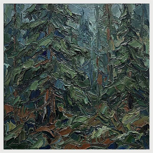 Echoes Of The Forest Glade
