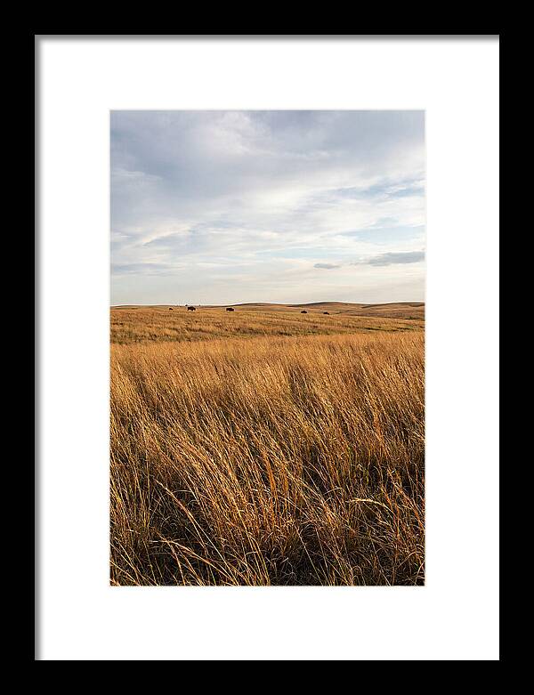 Echoes Of The Prairie Breeze