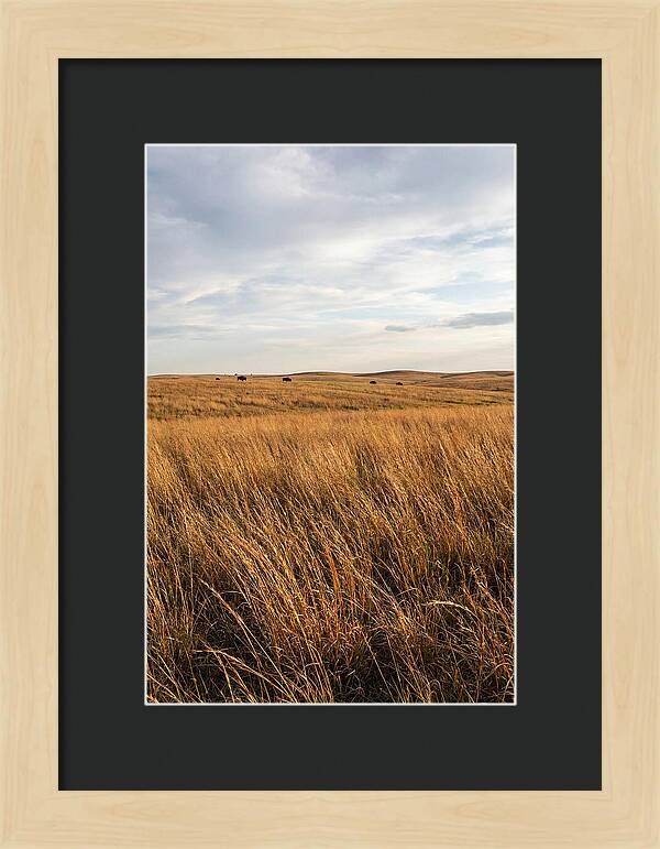 Echoes Of The Prairie Breeze