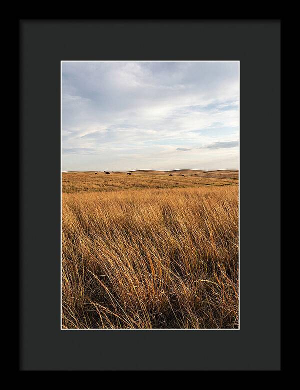 Echoes Of The Prairie Breeze