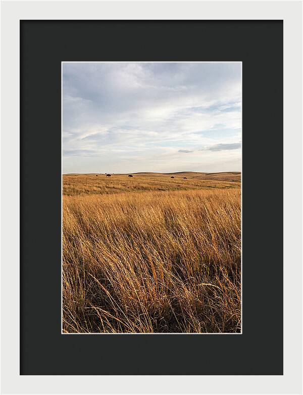 Echoes Of The Prairie Breeze
