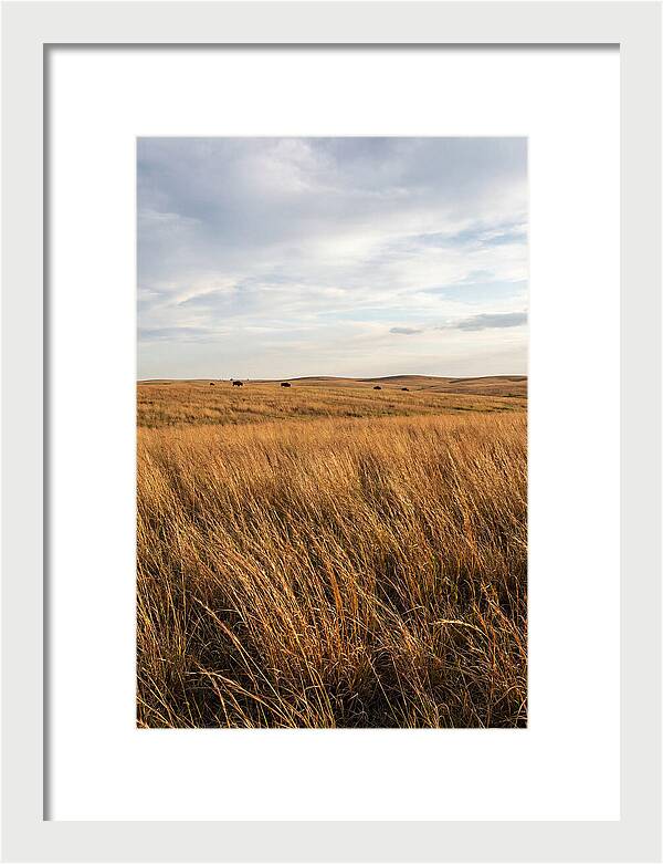 Echoes Of The Prairie Breeze