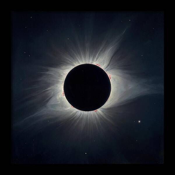Eclipsed Celestial Beauty