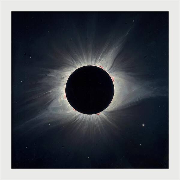 Eclipsed Celestial Beauty