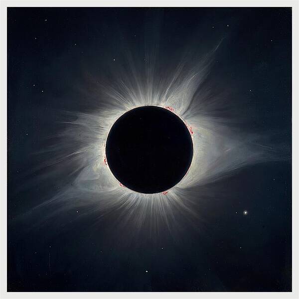 Eclipsed Celestial Beauty