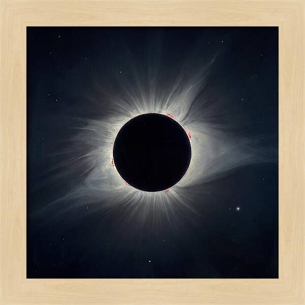 Eclipsed Celestial Beauty