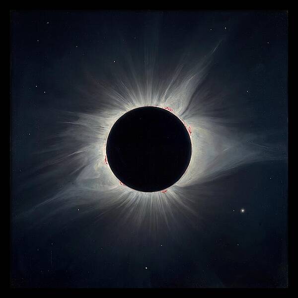 Eclipsed Celestial Beauty