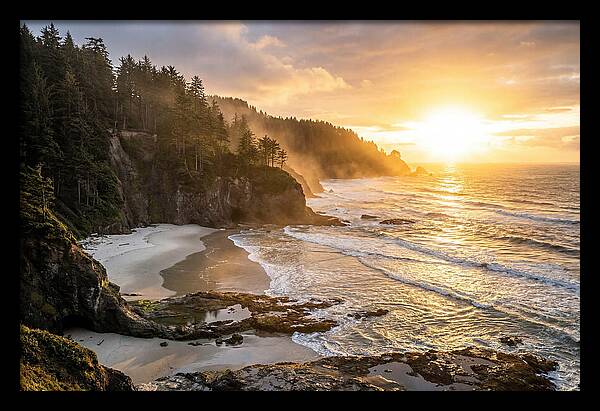 Ecola State Park Serenity