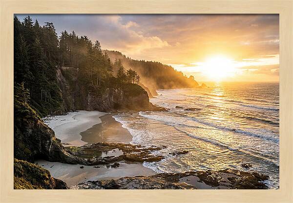 Ecola State Park Serenity