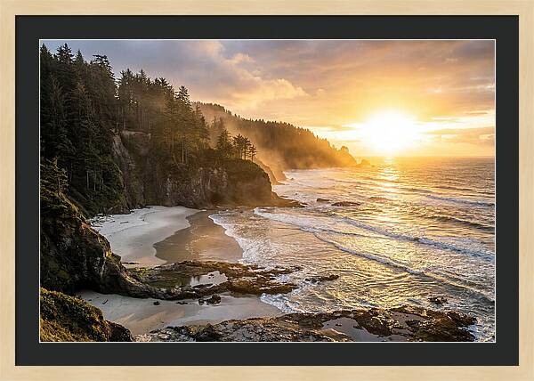 Ecola State Park Serenity