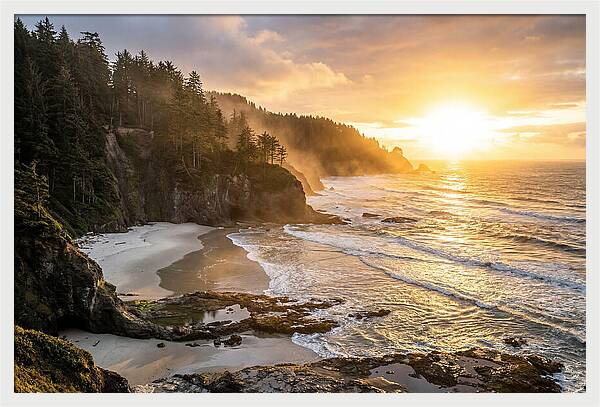 Ecola State Park Serenity