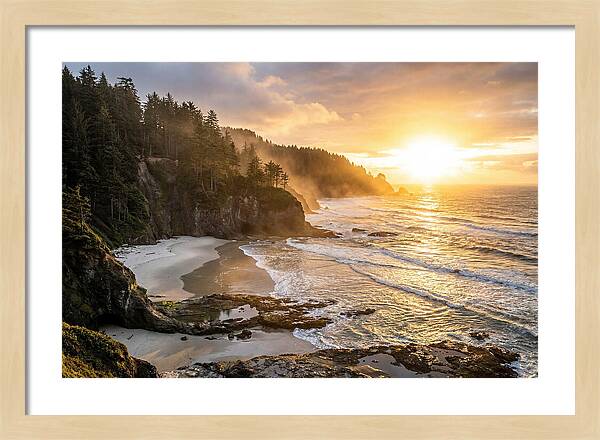 Ecola State Park Serenity