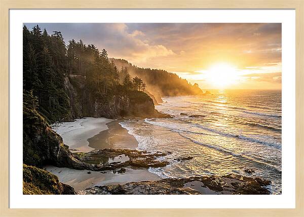 Ecola State Park Serenity
