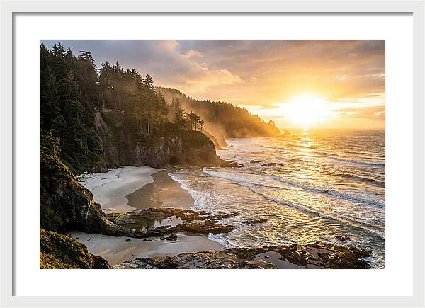 Ecola State Park Serenity