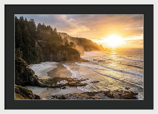 Ecola State Park Serenity