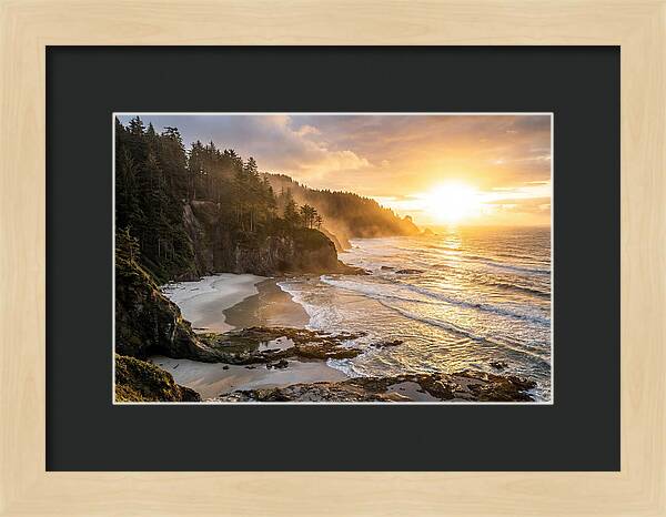 Ecola State Park Serenity