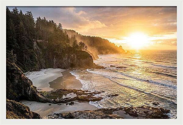 Ecola State Park Serenity