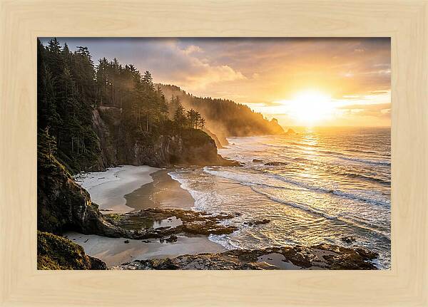 Ecola State Park Serenity