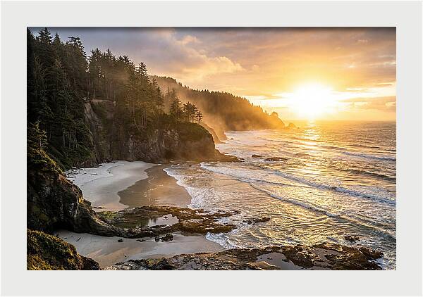 Ecola State Park Serenity