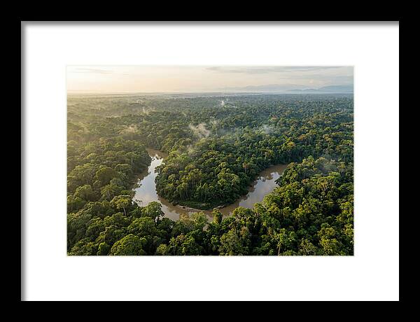 Ecuadorian Amazon Serenity