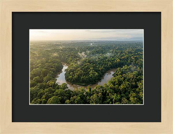 Ecuadorian Amazon Serenity