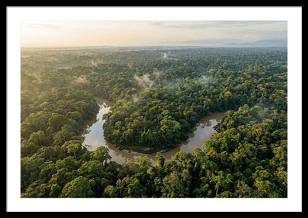Ecuadorian Amazon Serenity