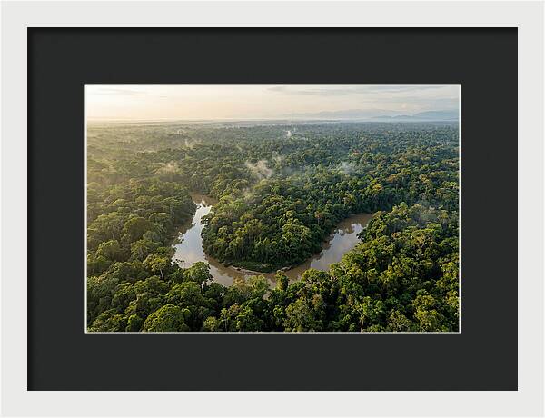 Ecuadorian Amazon Serenity