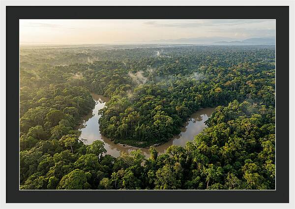 Ecuadorian Amazon Serenity