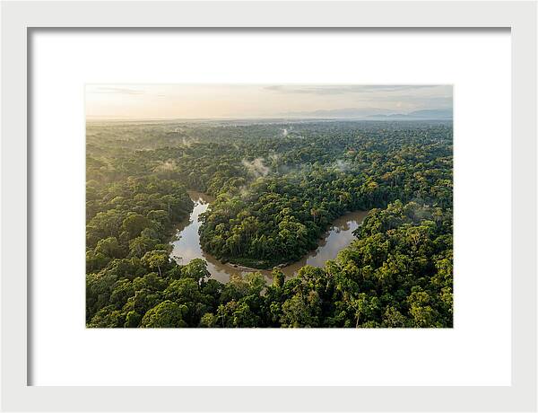 Ecuadorian Amazon Serenity