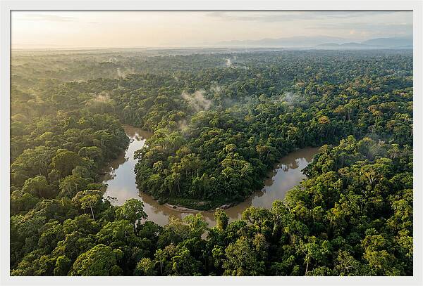 Ecuadorian Amazon Serenity