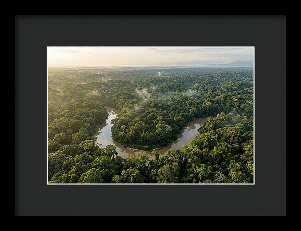 Ecuadorian Amazon Serenity