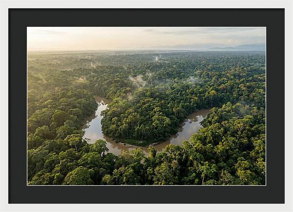 Ecuadorian Amazon Serenity