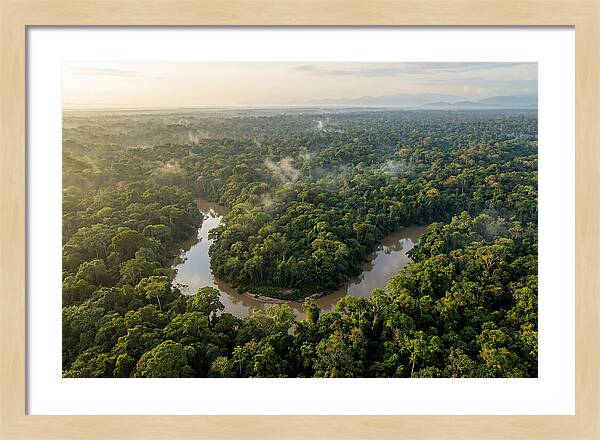 Ecuadorian Amazon Serenity