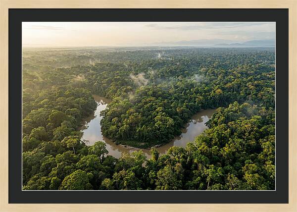 Ecuadorian Amazon Serenity