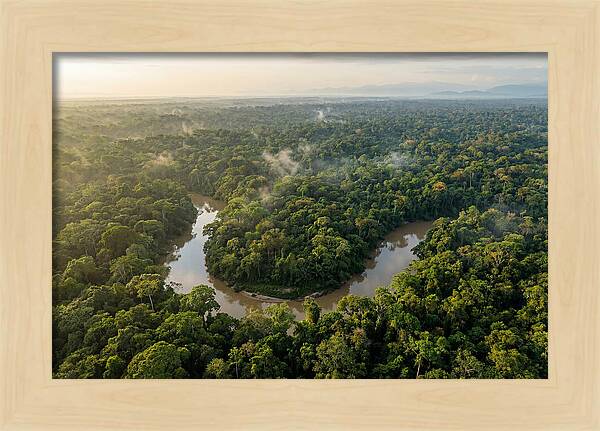 Ecuadorian Amazon Serenity