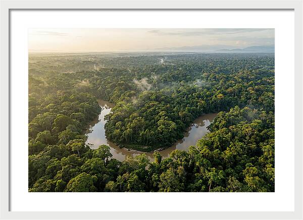 Ecuadorian Amazon Serenity