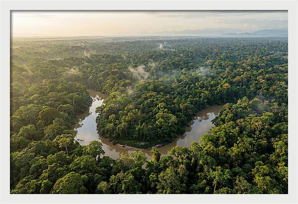 Ecuadorian Amazon Serenity