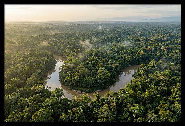 Ecuadorian Amazon Serenity