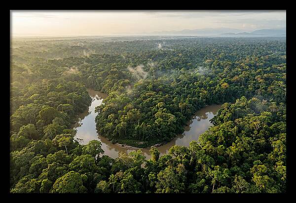 Ecuadorian Amazon Serenity