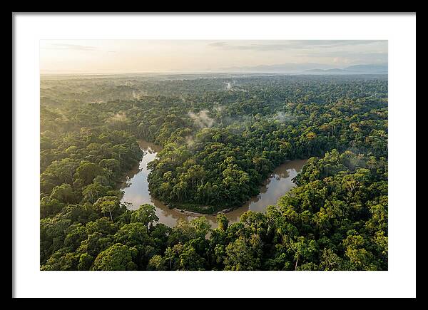 Ecuadorian Amazon Serenity