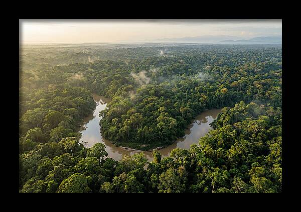 Ecuadorian Amazon Serenity