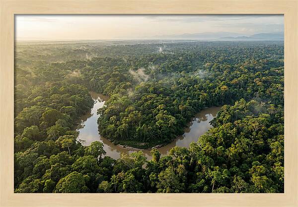 Ecuadorian Amazon Serenity
