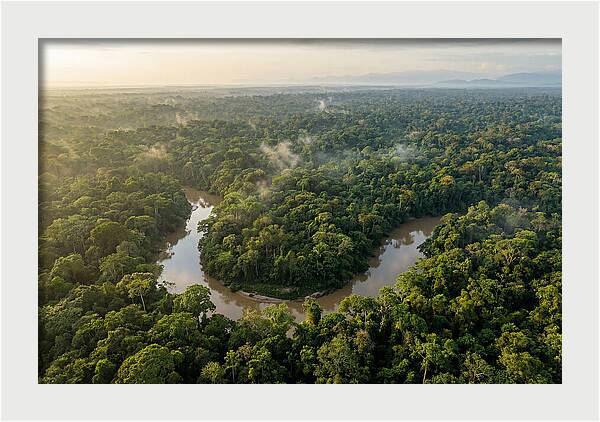 Ecuadorian Amazon Serenity