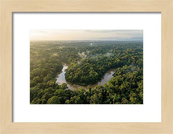 Ecuadorian Amazon Serenity