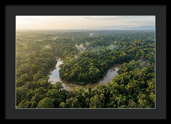 Ecuadorian Amazon Serenity
