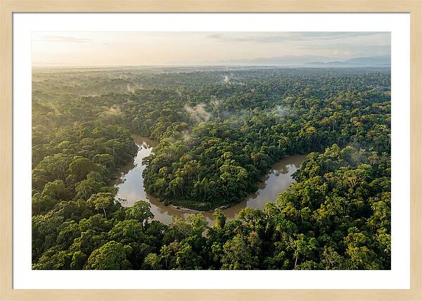 Ecuadorian Amazon Serenity