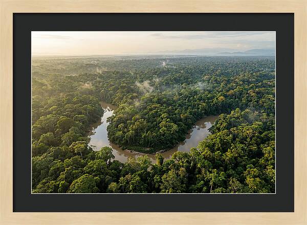 Ecuadorian Amazon Serenity
