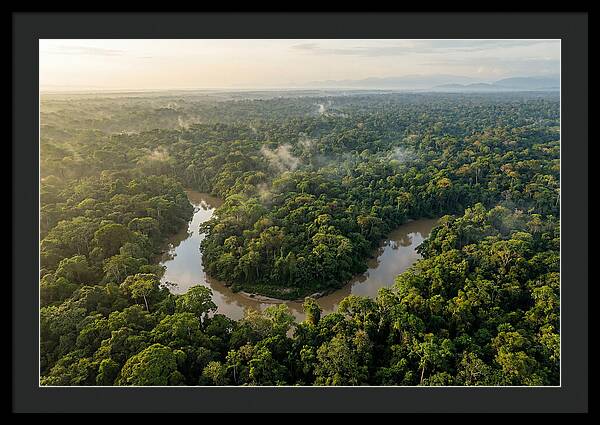 Ecuadorian Amazon Serenity