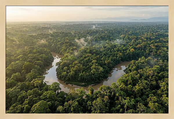 Ecuadorian Amazon Serenity