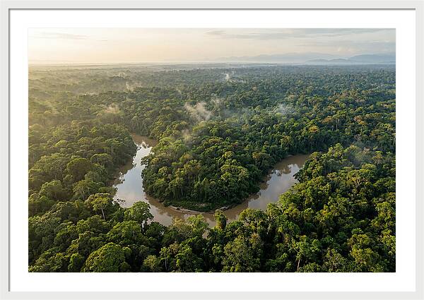 Ecuadorian Amazon Serenity